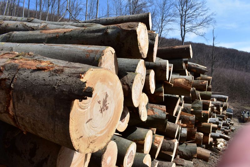 Ilustračné foto: Jozef Marko 