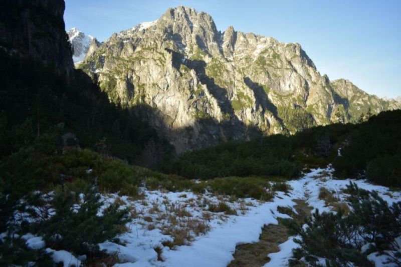 Rovienková dolina vo Vysokých Tatrách - ukážka potvrdeného výskytu medveďa hnedého  