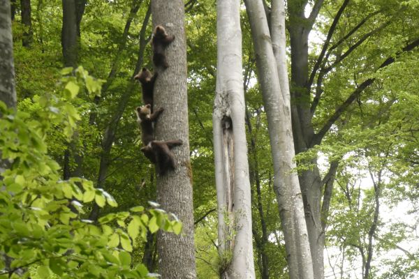 Foto: Ing. Marek Nosko 