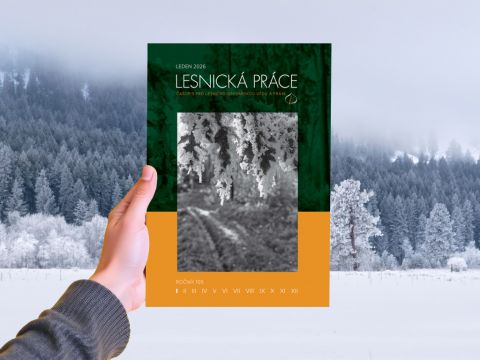 Lesnická práce 01/2026 
