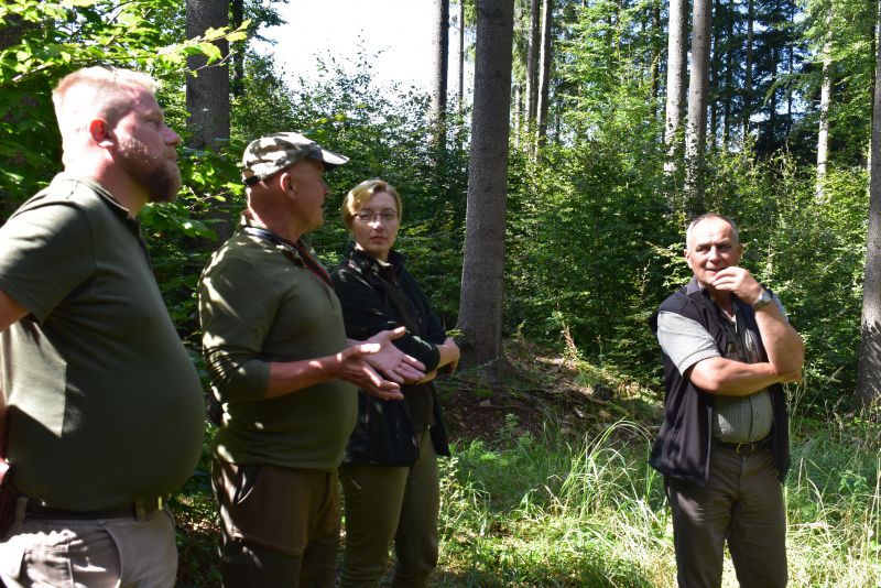 Keď lesníci odborne diskutujú priamo v lesnom poraste, ako treba ďalej postupovať