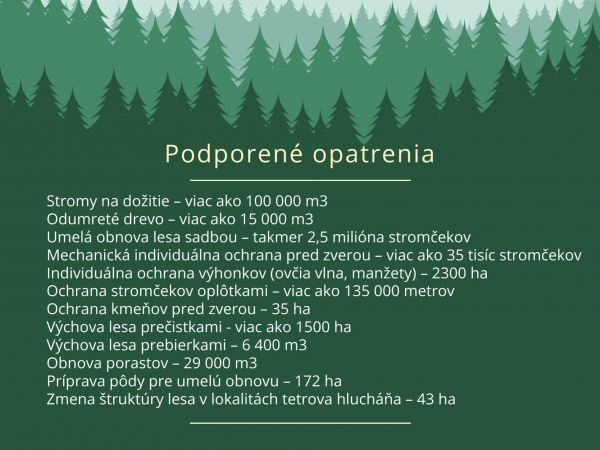 Podporené opatrenia, prezentované na konferencii 