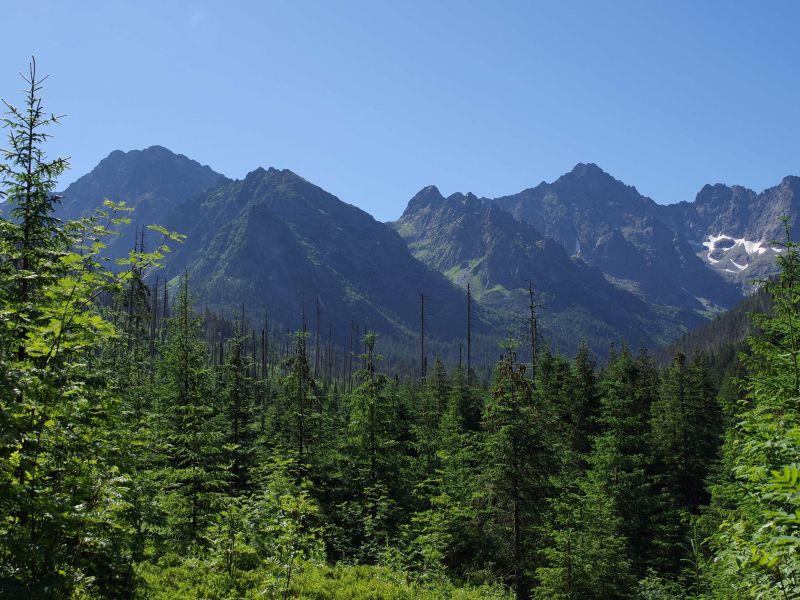 Tatranský národný park 