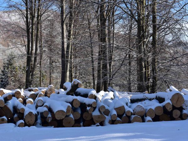 Ilustračn&eacute; foto: Jozef Marko 