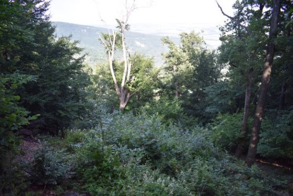 Ilustračn&eacute; foto Jozef Marko