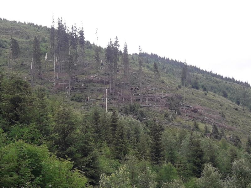 Jedna z ilustračných fotografií k statusu Ing. Ľudovíta Pitoňáka na sociálnej sieti 
