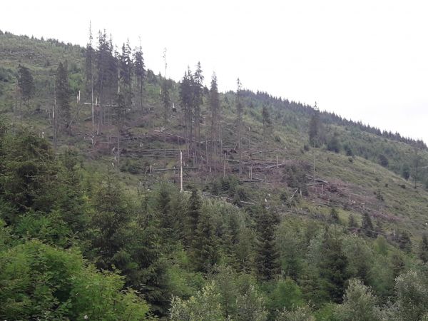 Jedna z ilustračných fotografií k statusu Ing. Ľudovíta Pitoňáka na sociálnej sieti 