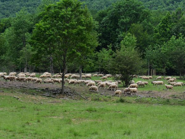 Ilustračné foto: Jozef Marko 