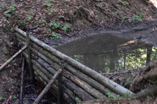 Drevená prehrádzka v lese 