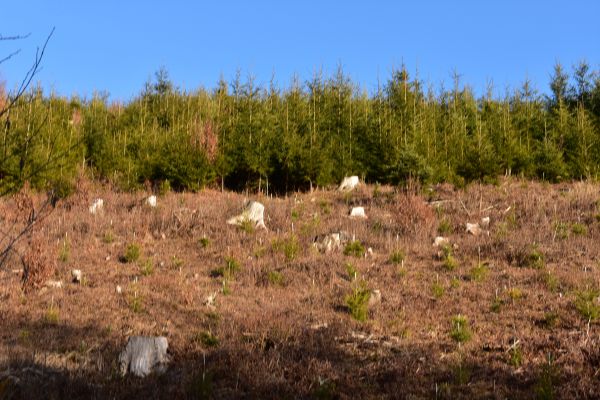 Ilustračn&eacute; foto Jozef Marko