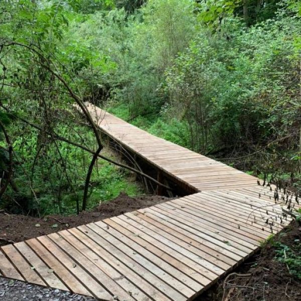 Dreven&yacute; chodn&iacute;k v arbor&eacute;tu v Kysih&yacute;bli 