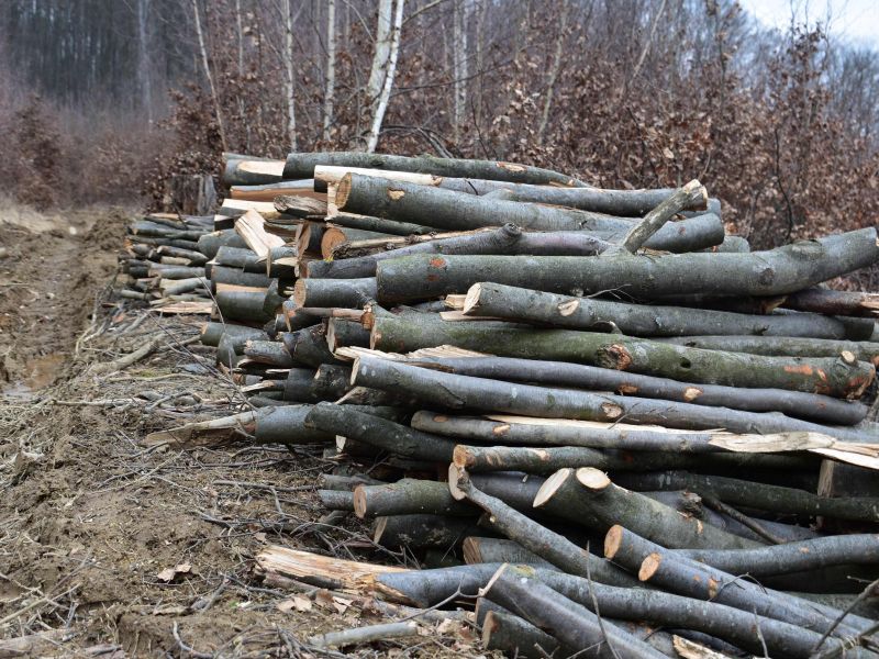 Palivové drevo pripravené v samovýrobe