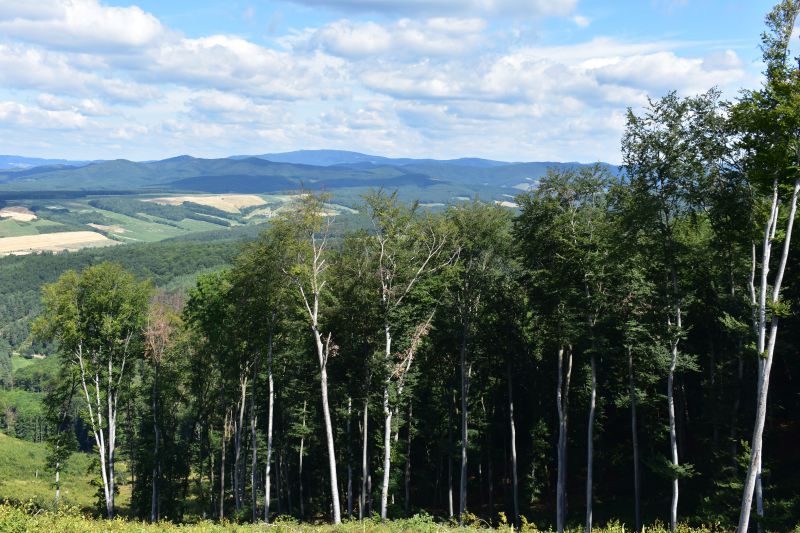 Ilustračné foto Jozef Marko