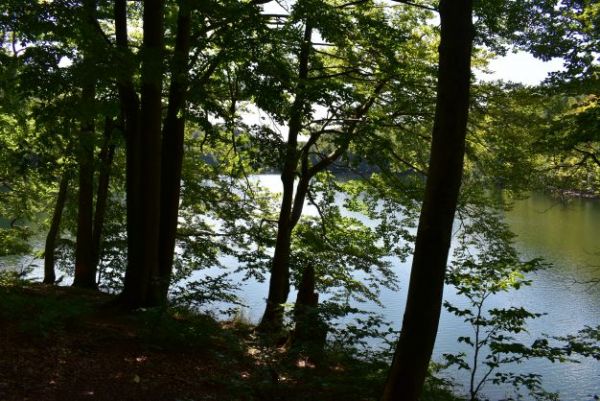 Ilustračn&eacute; foto Jozef Marko