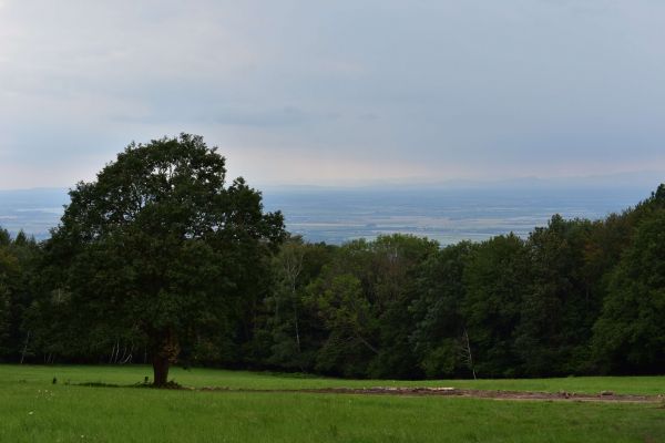 Ilustračné foto: Jozef Marko 