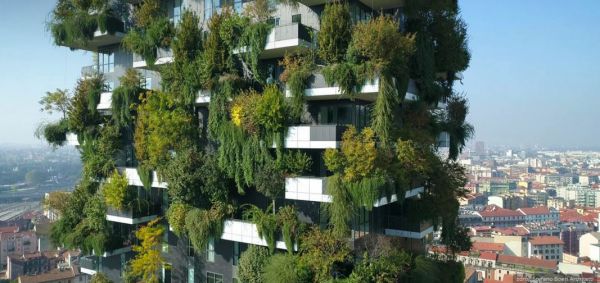 Vertik&aacute;lny les v meste