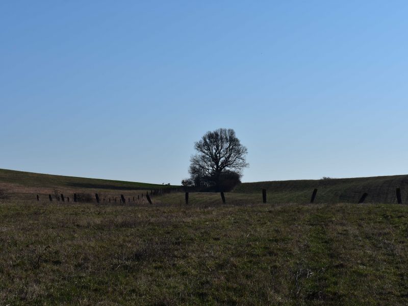 Ilustračn&eacute; foto: Jozef Marko 