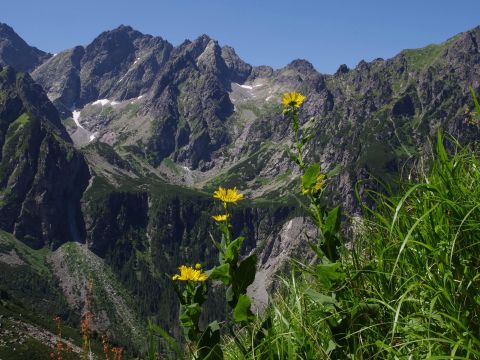 Vysoké Tatry