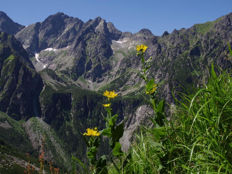 Vysoké Tatry