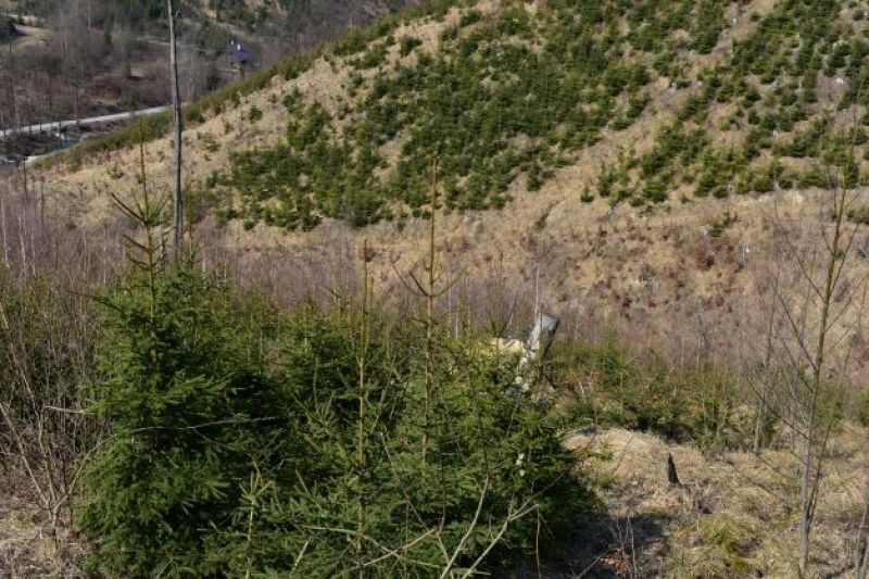 Ilustračné foto: Jozef Marko 