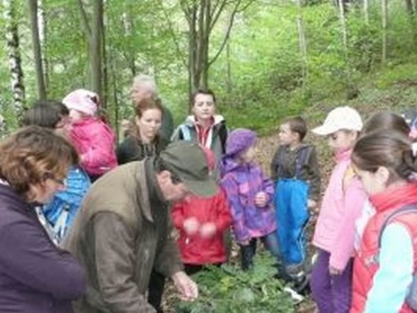 Ilustračn&eacute; foto