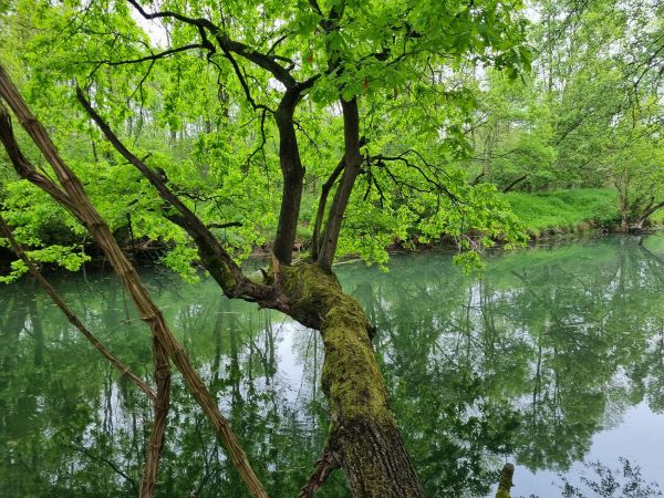 Ilustračn&eacute; foto: Ing. R&oacute;bert Gomb&aacute;rik 