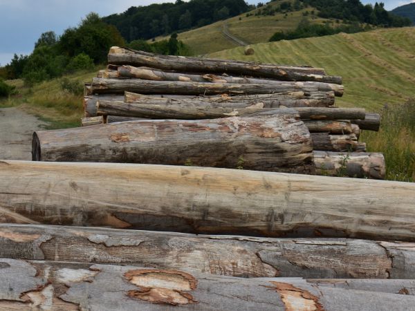 Ilustračné foto: Jozef Marko 