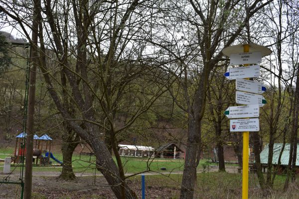 Ilustračn&eacute; foto z pr&iacute;mestsk&yacute;ch lesov Jozef Marko