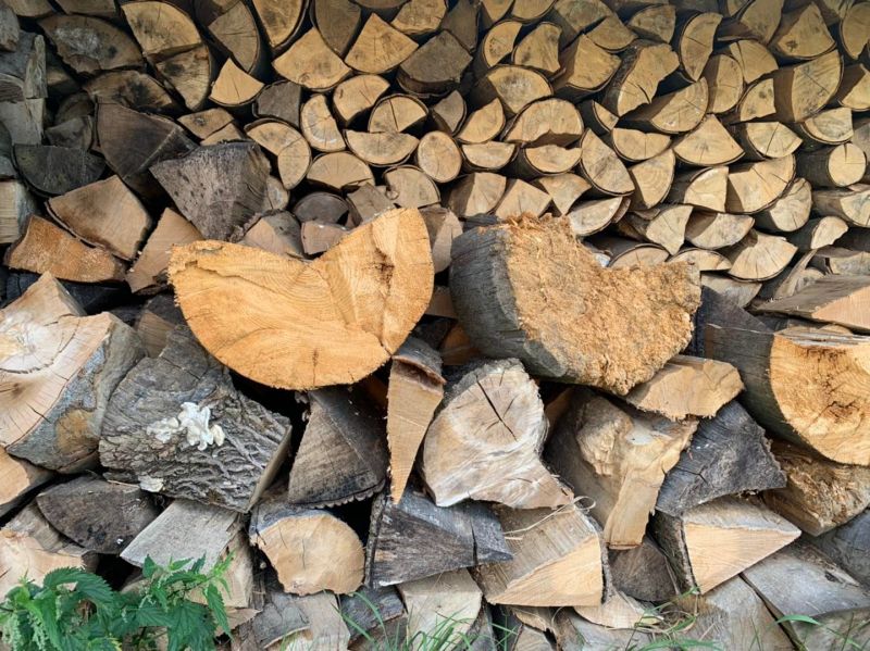 Ilustračn&eacute; foto: FB str&aacute;nka &scaron;. p. LESY SR