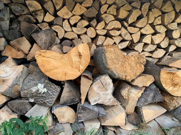 Ilustračn&eacute; foto: FB str&aacute;nka &scaron;. p. LESY SR