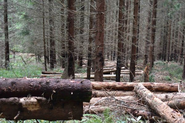 Ilustračné foto: Jozef Marko 