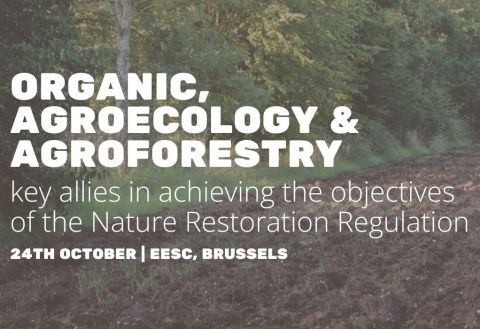 Zdroj: Internetová stránka EURAF 