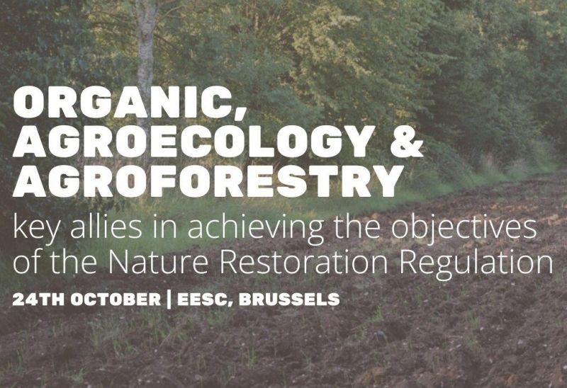 Zdroj: Internetová stránka EURAF 