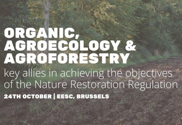 Zdroj: Internetová stránka EURAF 