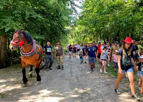 Foto z podujatia na Hrešnej s ukážkou práce s koňom v lese