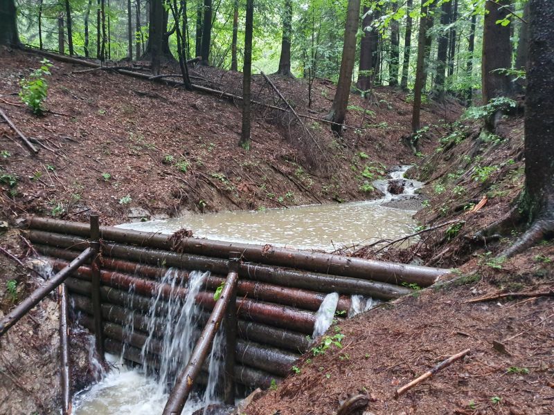 Ilustračné foto: FB stránka Únie regionálnych združení vlastníkov neštátnych lesov Slovenska 