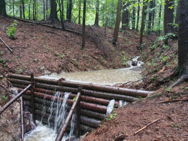 Ilustračn&eacute; foto: FB str&aacute;nka &Uacute;nie region&aacute;lnych združen&iacute; vlastn&iacute;kov ne&scaron;t&aacute;tnych lesov Slovenska 