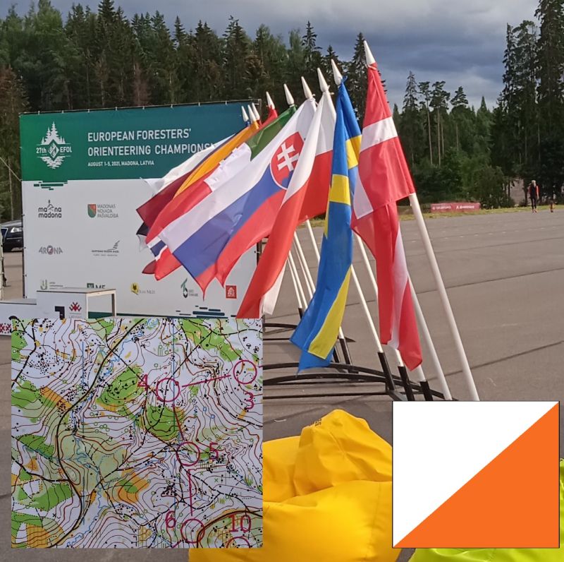 Ilustračn&eacute; foto Martin B&aacute;tor