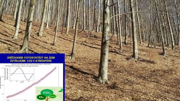 Foto k statusu Michala Kravč&iacute;ka o samov&yacute;voji v lese ako m&yacute;te na jeho FB profile