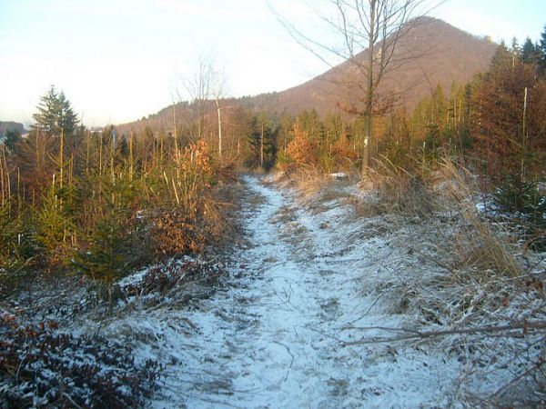 Ilustračn&eacute; foto Jozef Marko