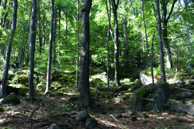 Ilustračné foto Jozef Marko