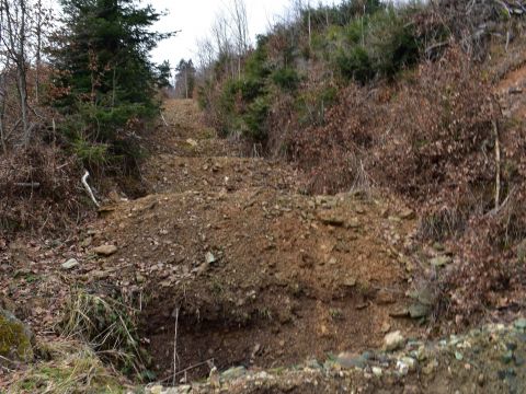 Rozrýpaná zvážnica v lesoch pri Gelnici 