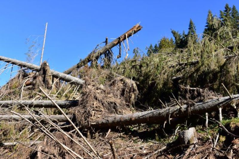 Vetrová kalamita na Liptove