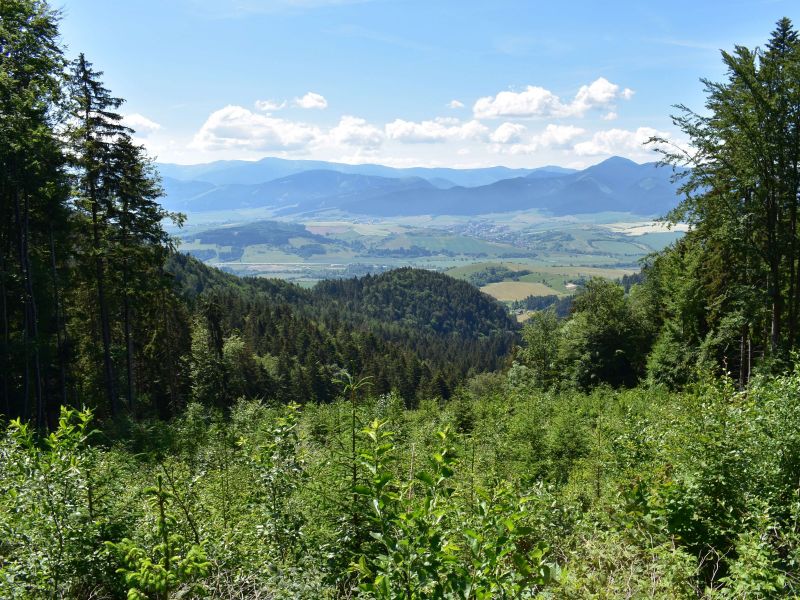 Ilustračn&eacute; foto: Jozef Marko 