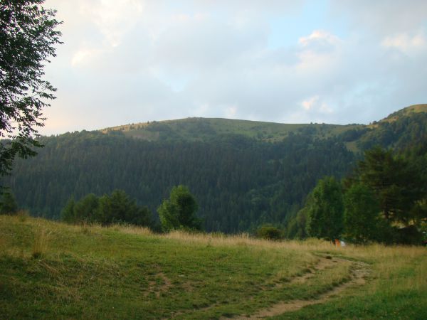 Ilustračn&eacute; foto