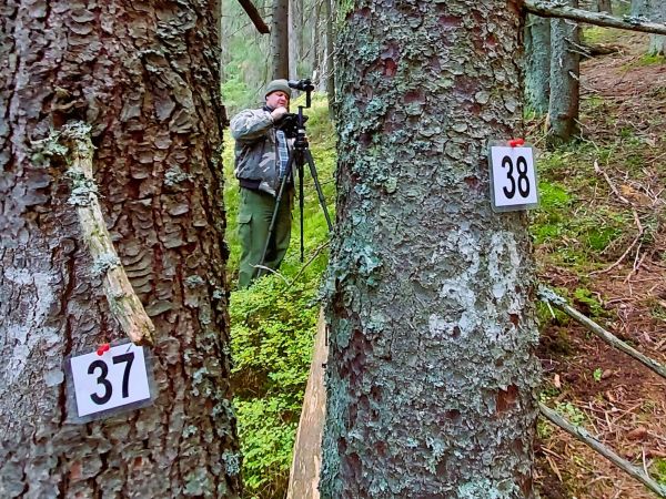 Mapovanie horsk&yacute;ch lesov po 20 rokoch v r&aacute;mci projektu 