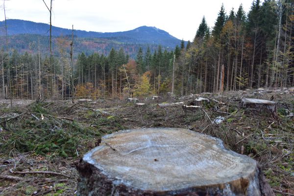 Ilustračn&eacute; foto Jozef Marko