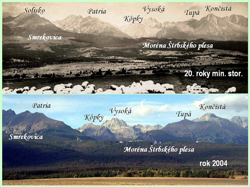 Vysoké Tatry na historickej fotografii pred storočím a na fotografii M. Koreňa z roku 2004 pred novembrovou kalamitou  