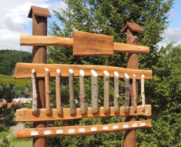 Lesn&yacute; park l&aacute;ka deti i dospel&yacute;ch