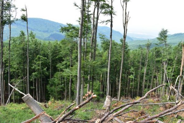 Ilustračn&eacute; foto Jozef Marko